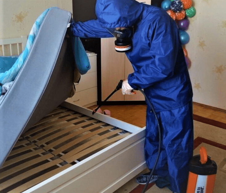 Можно ли самостоятельно вывести клопов?